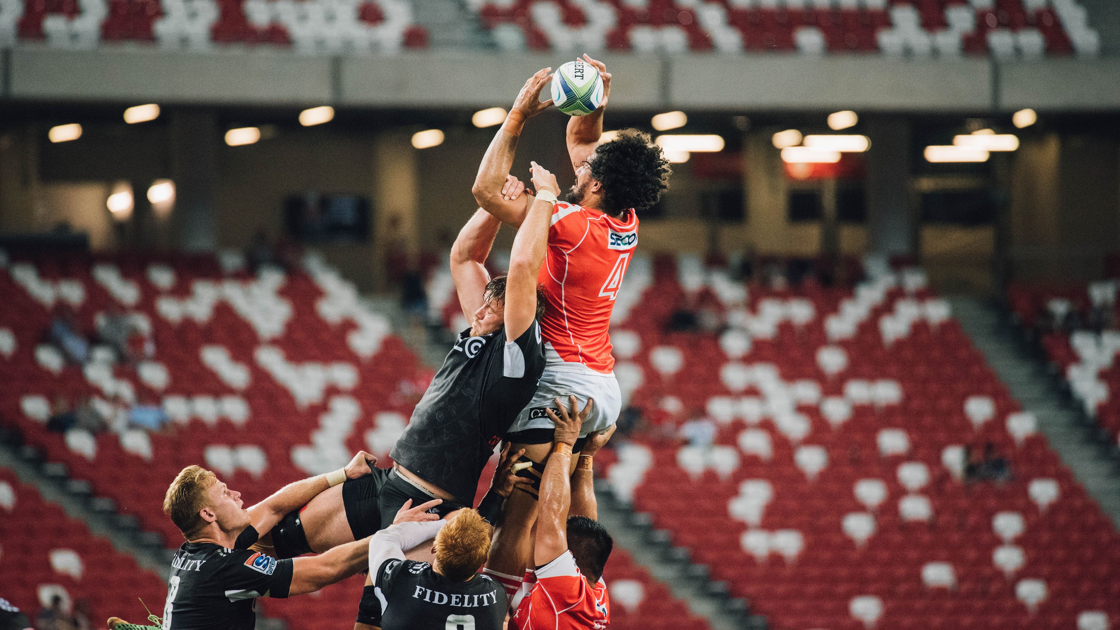 _环天跑：在天空中迎风奔跑_，什么时候给树木施肥